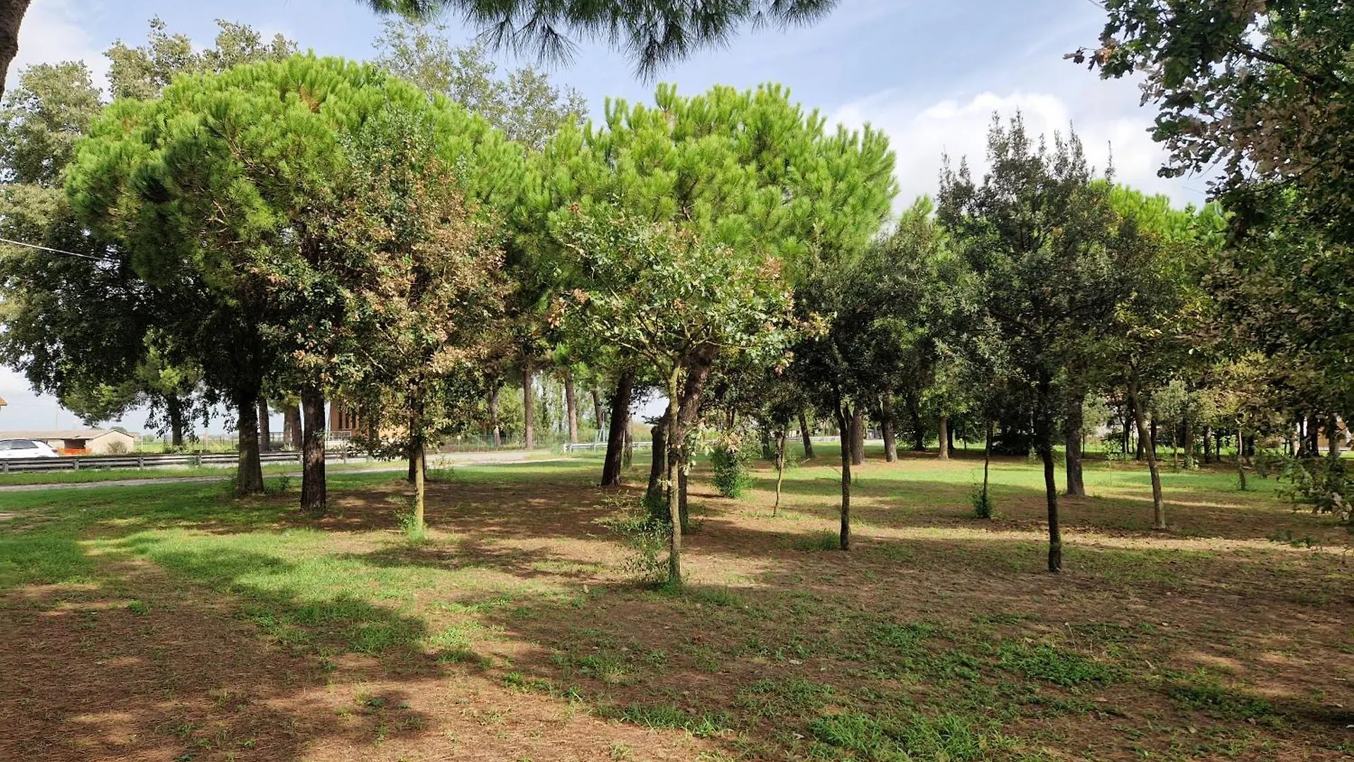 Holiday home Ca' Elena Villa Codigoro Italy