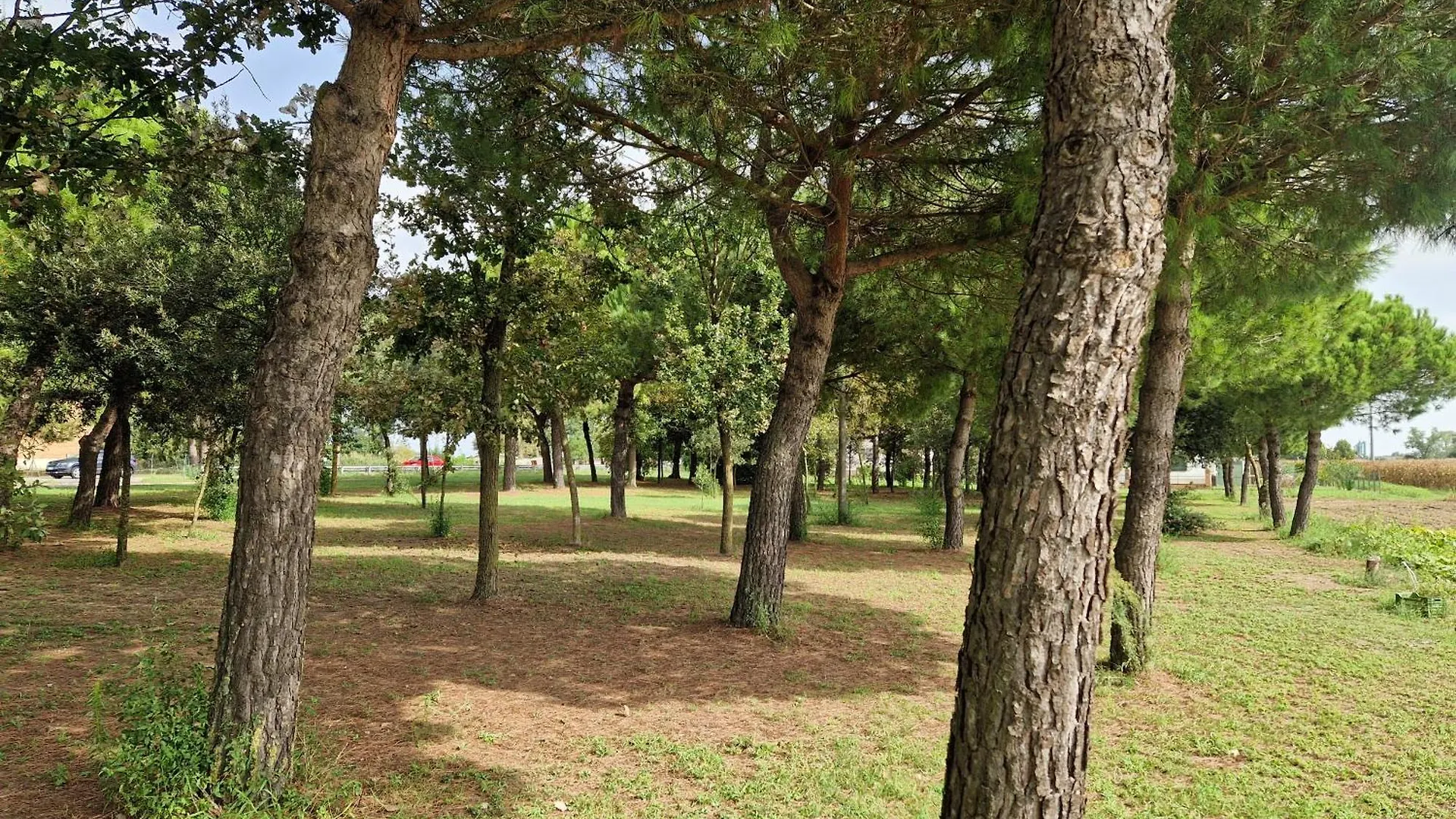 Ca' Elena Villa Codigoro Holiday home